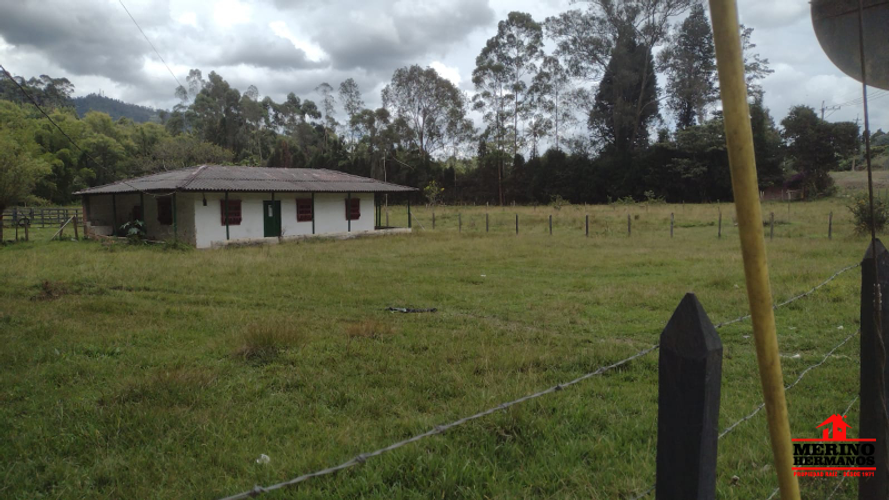 Lote en venta en San Jose, Guarne, 17612 m² · foto 4 de 14