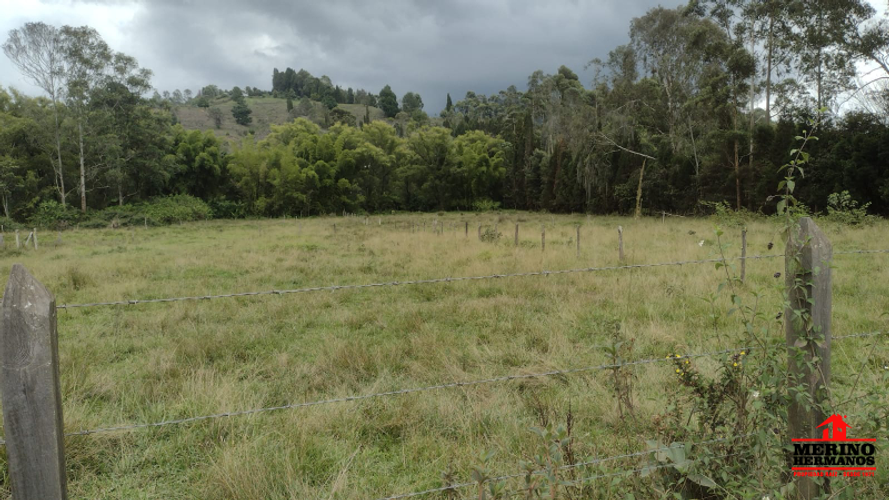 Lote en venta en San Jose, Guarne, 17612 m² · foto 7 de 14