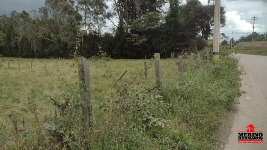 Lote en venta en San Jose, Guarne, 17612 m² · foto 8 de 14