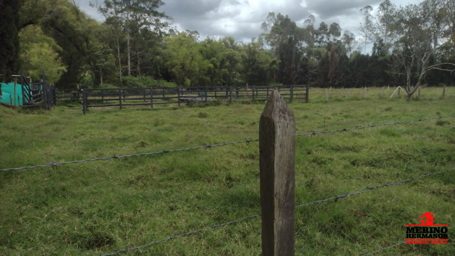 Lote en venta en San Jose, Guarne, 17612 m² · foto 12 de 14