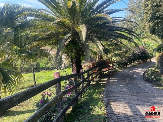Casa de 4 alcobas en venta en El Porvenir, Rionegro, 450 m² · foto 6 de 24