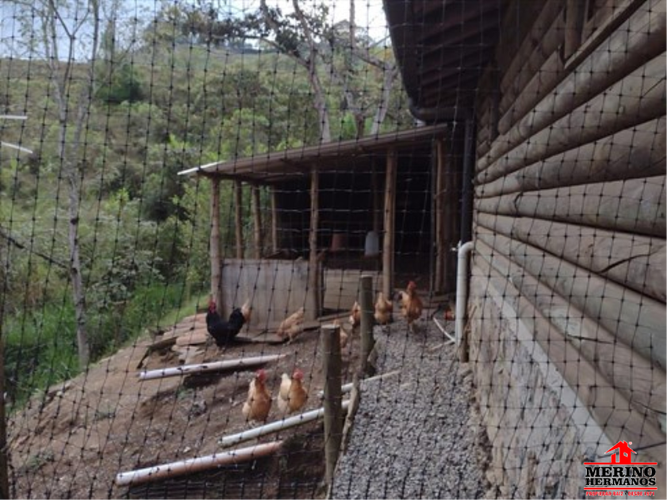 Finca en venta en Guarne, 310 m² · foto 6 de 24