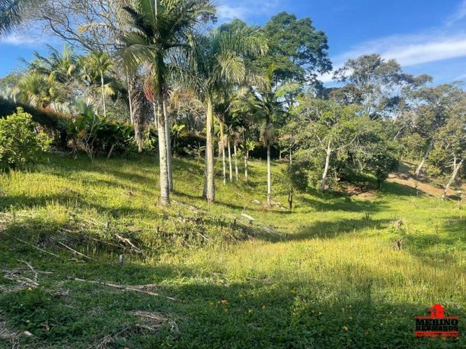 Casa de 4 alcobas en venta en El Porvenir, Rionegro, 450 m² · foto 11 de 24
