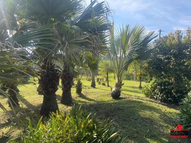 Casa de 4 alcobas en venta en El Porvenir, Rionegro, 450 m² · foto 16 de 24