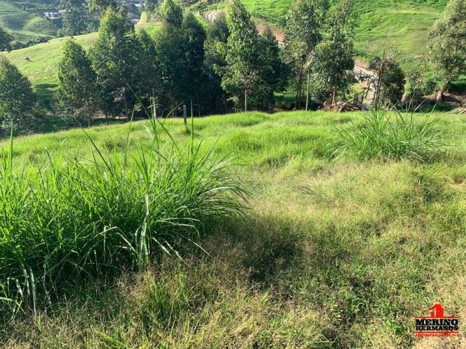 Casa de 4 alcobas en venta en El Porvenir, Rionegro, 450 m² · foto 23 de 24