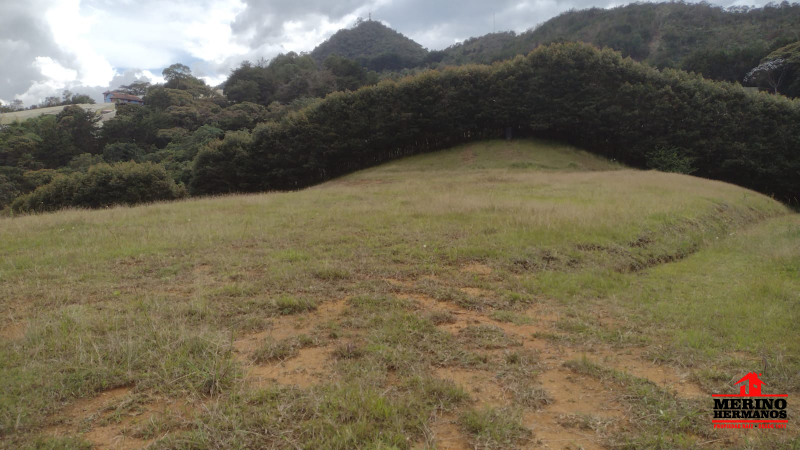 Lote en venta en Centro, Rionegro, 35614 m² · foto 7 de 22