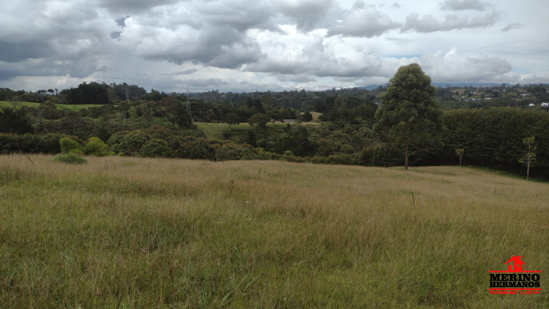 Lote en venta en Centro, Rionegro, 35614 m² · foto 19 de 22