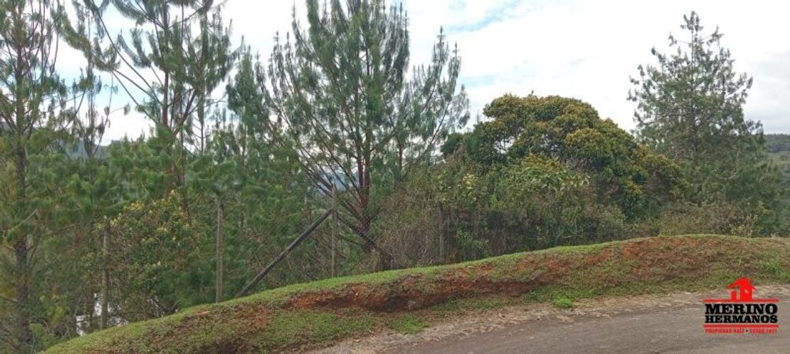 Lote en venta en Las Garzonas, El Carmen de Viboral, 4770 m² · foto 13 de 20