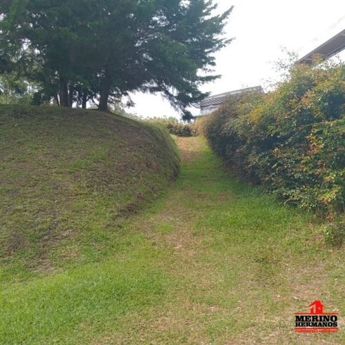 Lote en venta en Centro, Rionegro, 347 m² · foto 3 de 24