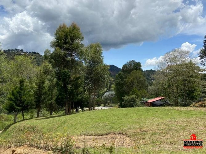 Lote en venta en Centro, Rionegro, 347 m² · foto 5 de 24