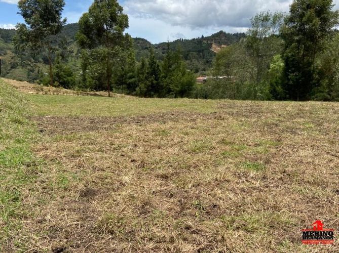 Lote en venta en Centro, Rionegro, 347 m² · foto 6 de 24