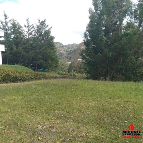 Lote en venta en Centro, Rionegro, 347 m² · foto 7 de 24