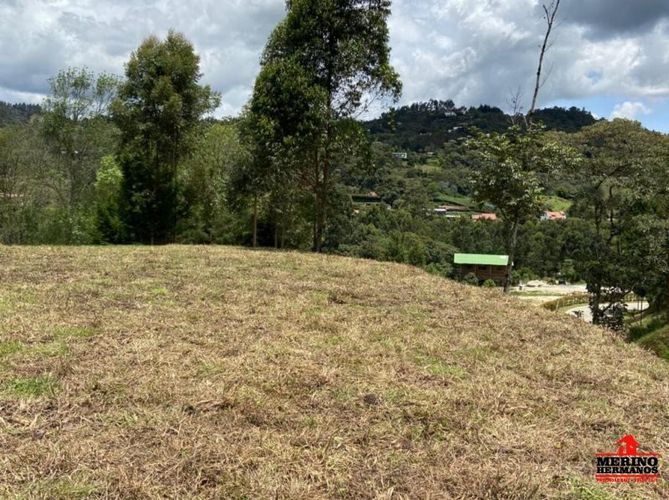 Lote en venta en Centro, Rionegro, 347 m² · foto 8 de 24