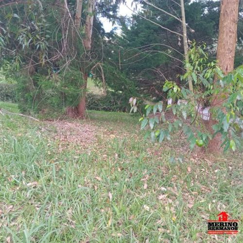 Lote en venta en Centro, Rionegro, 347 m² · foto 21 de 24