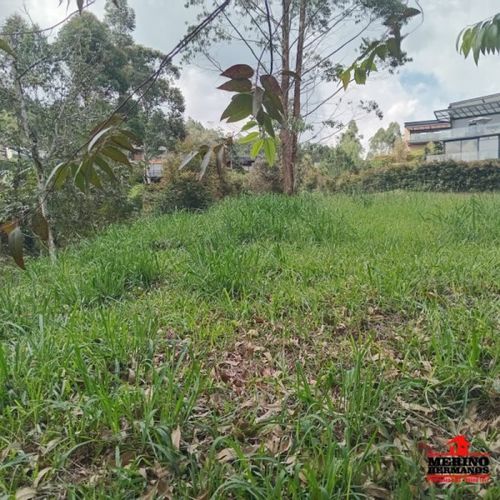 Lote en venta en Centro, Rionegro, 347 m² · foto 22 de 24