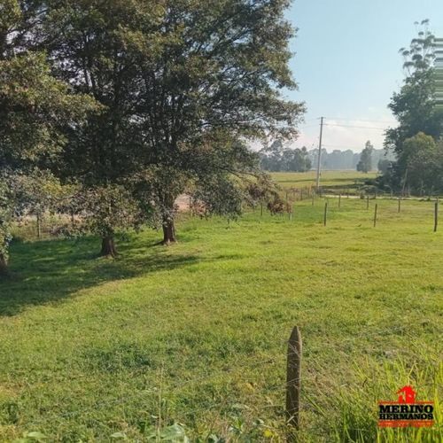 Lote en venta en El Porvenir, Rionegro, 200 m² · foto 10 de 11