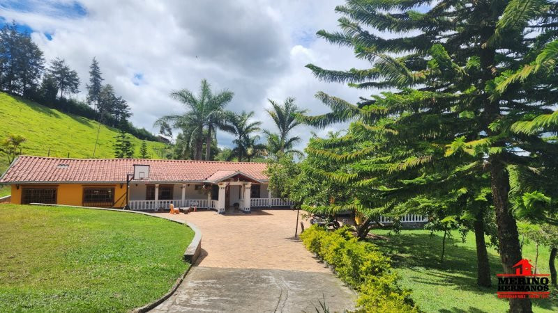 Casa Campestre en Arriendo en Centro, Rionegro