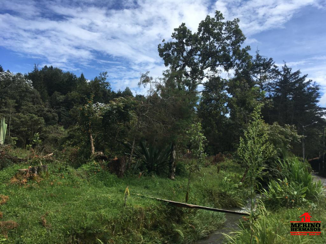 Lote en venta en El Molino, Guarne, 4500 m² · foto 2 de 6