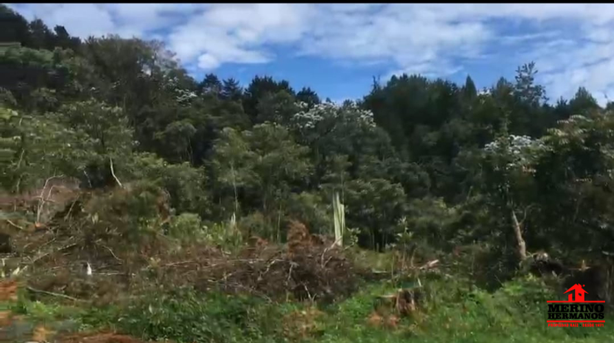 Lote en venta en El Molino, Guarne, 4500 m² · foto 3 de 6
