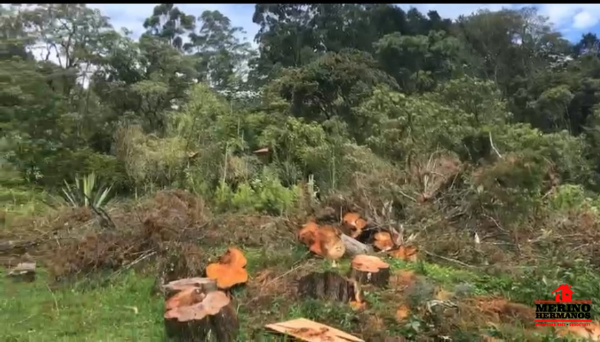 Lote en venta en El Molino, Guarne, 4500 m² · foto 5 de 6