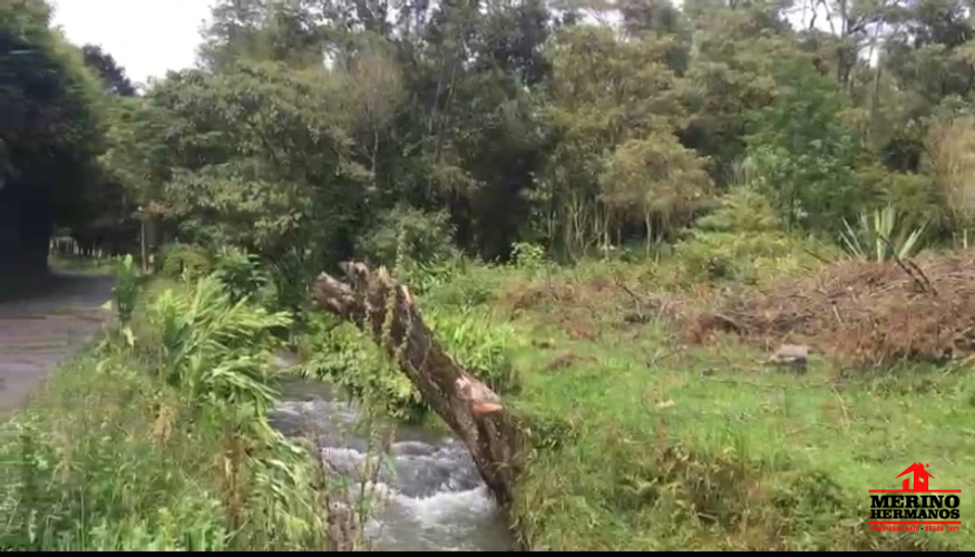Lote en venta en El Molino, Guarne, 4500 m² · foto 6 de 6