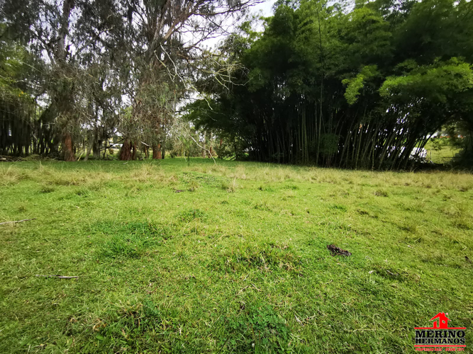Lote en venta en Centro, Rionegro, 1350 m² · foto 2 de 13