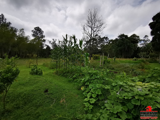 Lote en venta en Centro, Rionegro, 1350 m² · foto 4 de 13