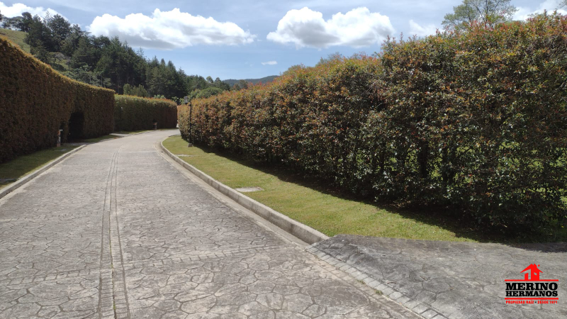 Land in Los salados (2150 m²) for Sale