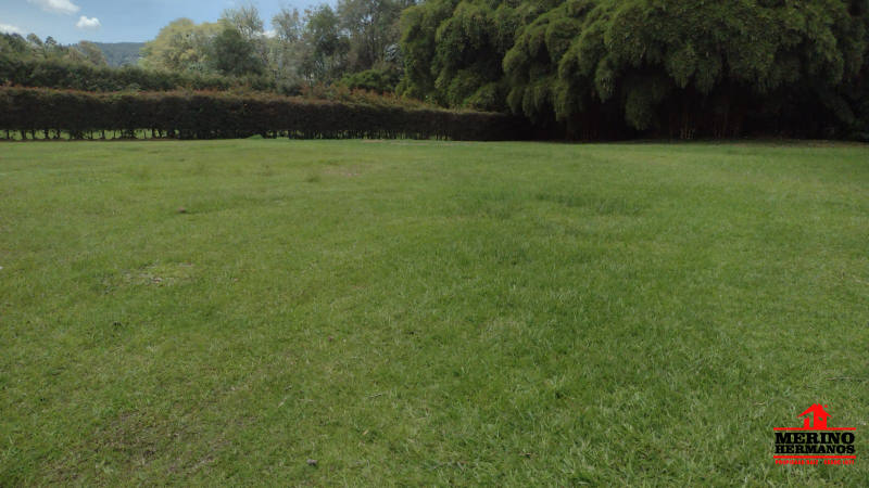 Land in Los salados (2150 m²) for Sale - 2