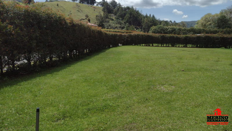 Land in Los salados (2150 m²) for Sale - 3