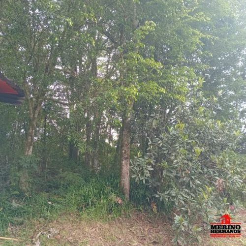 Casa de 5 alcobas en venta en Pantanillo, El Retiro, 330 m² · foto 16 de 24