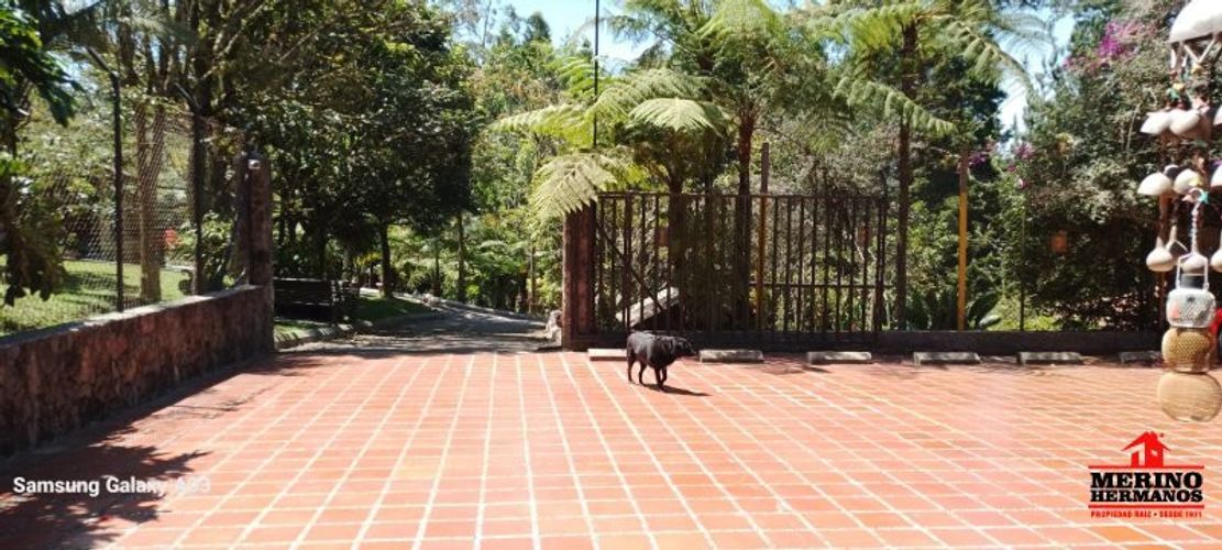 Casa de 11 alcobas en venta en Guarne, 800 m² · foto 4 de 23