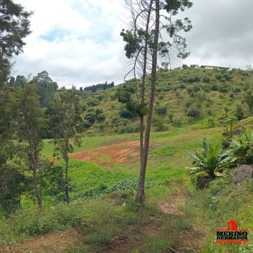 Casa de 4 alcobas en venta en Monta�Ez, Guarne, 280 m² · foto 10 de 24