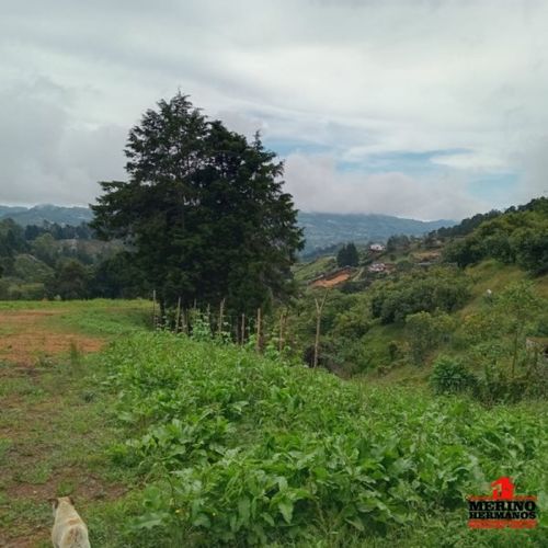Casa de 4 alcobas en venta en Monta�Ez, Guarne, 280 m² · foto 11 de 24
