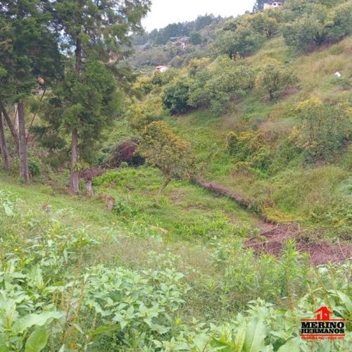 Casa de 4 alcobas en venta en Monta�Ez, Guarne, 280 m² · foto 13 de 24