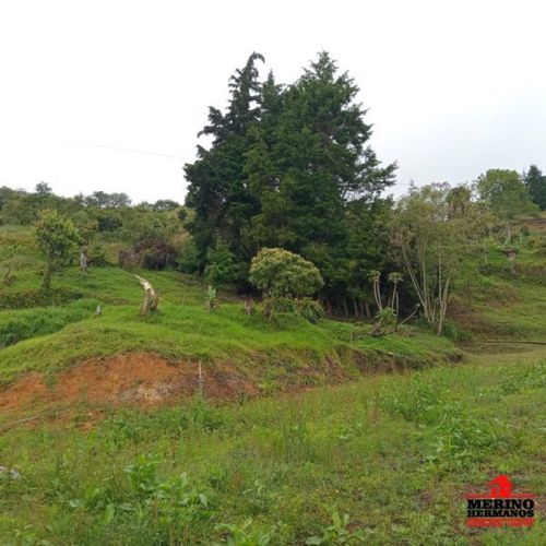 Casa de 4 alcobas en venta en Monta�Ez, Guarne, 280 m² · foto 15 de 24