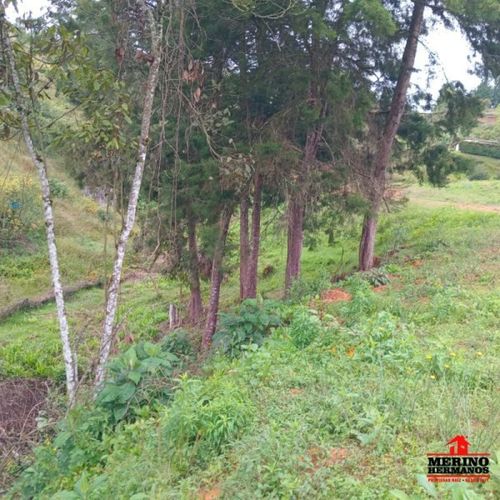 Casa de 4 alcobas en venta en Monta�Ez, Guarne, 280 m² · foto 18 de 24