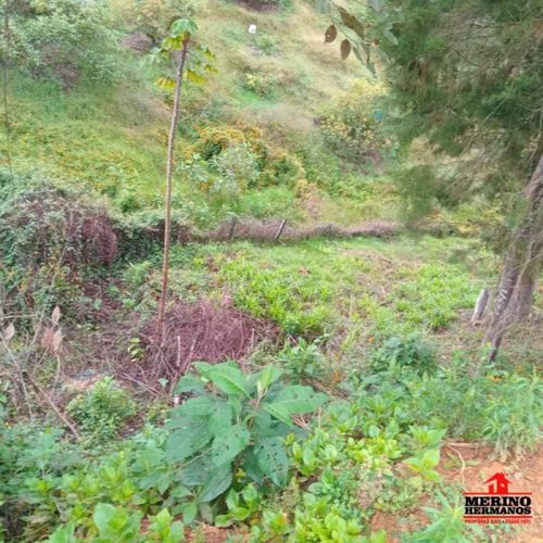 Casa de 4 alcobas en venta en Monta�Ez, Guarne, 280 m² · foto 23 de 24