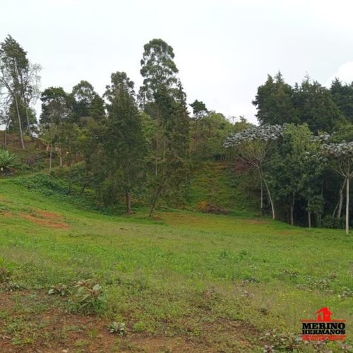 Casa de 4 alcobas en venta en Monta�Ez, Guarne, 280 m² · foto 24 de 24
