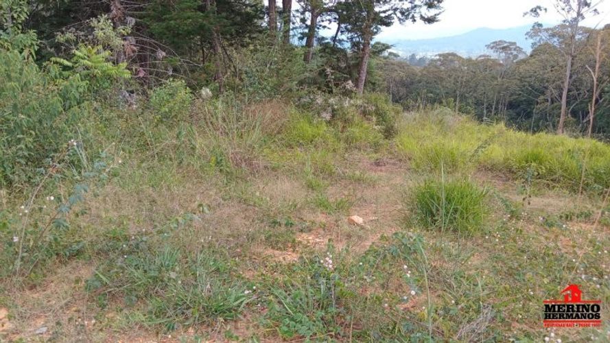 Lote en venta en Centro, Rionegro, 6637 m² · foto 8 de 9