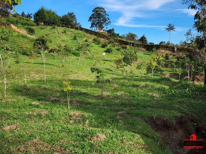 Lote en venta en Guarne, 2500 m² · foto 2 de 16