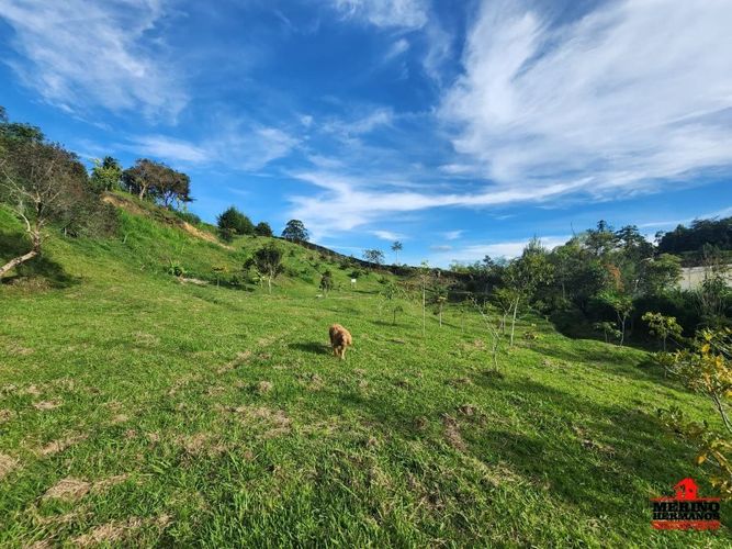 Lote en venta en Guarne, 2500 m² · foto 3 de 16