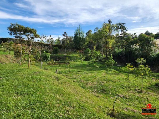Lote en venta en Guarne, 2500 m² · foto 4 de 16