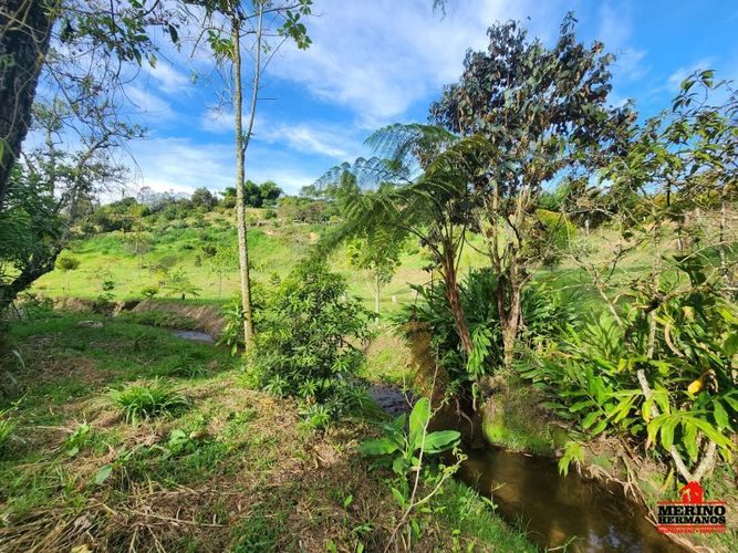 Lote en venta en Guarne, 2500 m² · foto 5 de 16