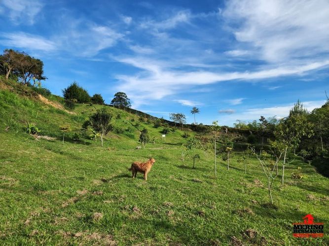 Lote en venta en Guarne, 2500 m² · foto 6 de 16