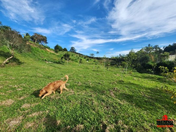 Lote en venta en Guarne, 2500 m² · foto 7 de 16