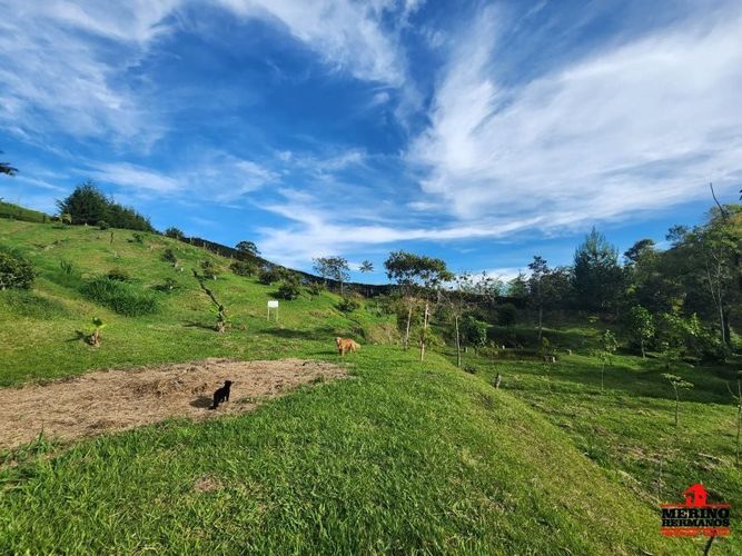 Lote en venta en Guarne, 2500 m² · foto 8 de 16