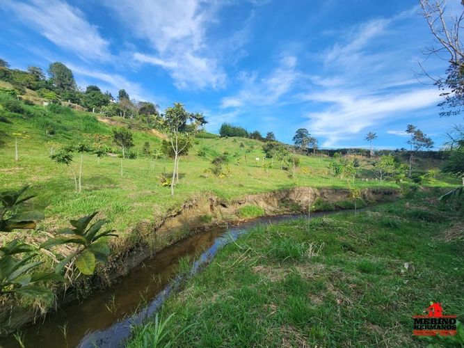 Lote en venta en Guarne, 2500 m² · foto 9 de 16