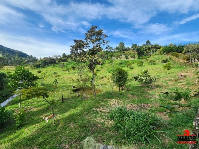 Lote en venta en Guarne, 2500 m² · foto 10 de 16