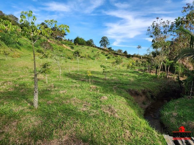 Lote en venta en Guarne, 2500 m² · foto 11 de 16